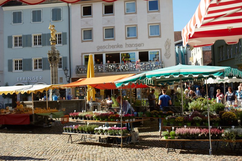Münstermarkt: Marktspaziergänge Blumenroute - Copyright: FWTM-Lafuente