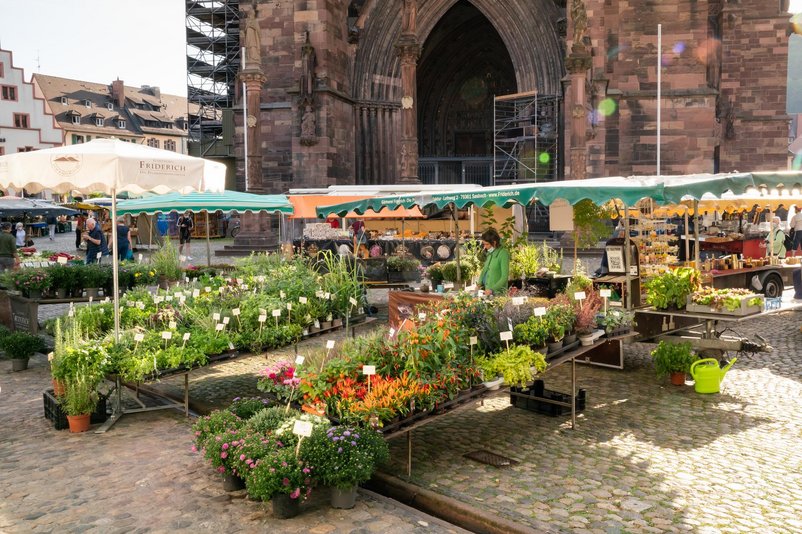 Münstermarkt: Marktspaziergänge Blumenroute - Copyright: FWTM-Bender