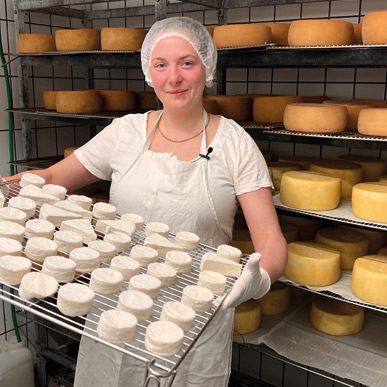 Münstermarkt: So viel Käse auf einen Blick bei der Produktion im Ringlihof! Copyright: FWTM Schneider
